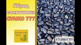 Соняшник Суліко 777 , опис гібриду  - насіння в Україні