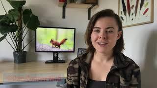 Dani Connor - How a baby squirrel inspired the world
