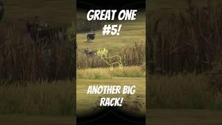 Great One Big Rack! Whitetail G1 grind pays off again with #5! #thehuntercallofthewild #cotw #