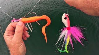 Summer Flounder (Fluke) Boat Limit After Strong Winds!