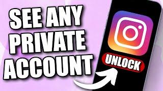 How to View PRIVATE Account on Instagram (2024)