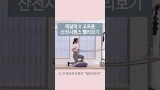 캐딜락 X 고프론 임산부 필라테스 시퀀스 빨리보기#목감필라테스 #늘솜필라테스 #필라테수아시퀀스#고프론#맘스바디케어 #고프론#캐딜락고프론#임산부필라테스#산전필라테스 #임신중기