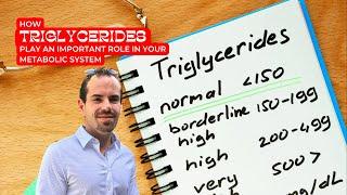 How Triglycerides Play An Important Role In Your Metabolic System