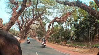 tuk tuk goo #memes #funny #shortsfeed #video #viral #shorts