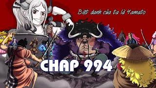 One piece 994 Spoil |  Kaido Mong muốn được C.h.ế.t như Samurai | Animen One Piece