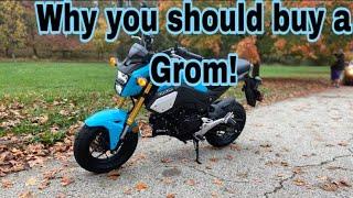 6 Reasons Why you should buy a Honda Grom!