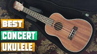 Most Amazing Concert Ukuleles in 2025