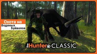 Охота на Водяного Буйвола в theHunter Classic !