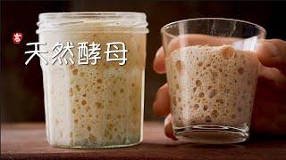 天然酵母 Sourdough Starter