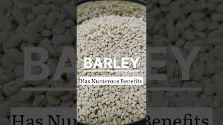 Barley! Ayurvedic Benefits! Best to treat Diabetes