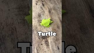 ORIGAMI TURTLE EASY TUTORIAL STEP BY STEP | HOW TO MAKE TURTLE FROM PAPER ORIGAMI WORLD FOLDING ART