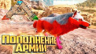 Приручаем Волка и Фарм Отряд - ARK Survival Scorched Earth Выживание #3