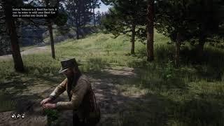 Red Dead Redemption 2   Best places to find Indian Tobacco