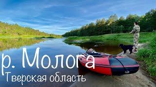 РЫБАЛКА В ТВЕРСКОЙ ОБЛАСТИ. Река Молога. Красивые места.