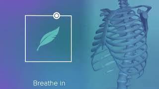 Relaxing Box Breath with Anatomy | Help Singers Visualise Breathing Anatomy