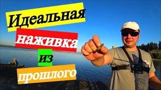 Супер наживка из СССР / Все гениальное просто / Как её найти