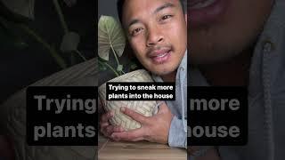 #comedy #houseplant #houseplants #funny #indoorplant #plantdaddy #plant #indoorplants #plantlife