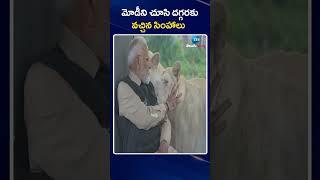 PM Modi Inaugurates World's Largest Wildlife Rescue Centre Vantara, Gujarat | ZEE Telugu News