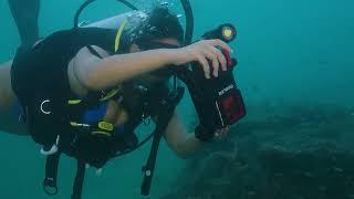 PADI Scubalab awards Testers Choice 2024 to Sealife Sportdiver Ultra Smartphone Housing