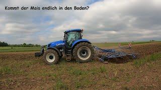 FarmVolg #62 - Mais legen mit New Holland T7.270 und Steyr Expert 4130 | Köckerling | Maschio