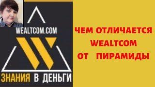 ЧЕМ ОТЛИЧАЕТСЯ ОБУЧАЮЩАЯ ПЛАТФОРМА WEALTCOM ОТ ПИРАМИДЫ?