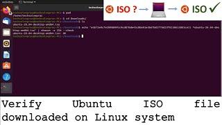 Verify Ubuntu ISO on Linux