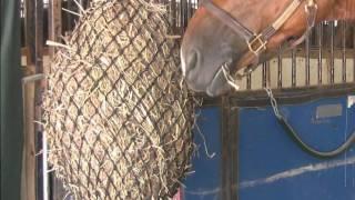 Dura-Tech® Slow Feed Hay Bag from Schneiders