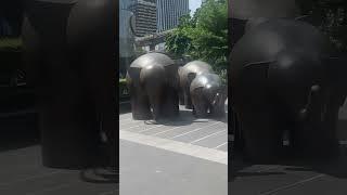Iron elephant #shorts