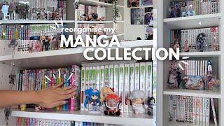 reorganise my manga collection with me  | 1700+ volumes ⋆. 𐙚 ˚