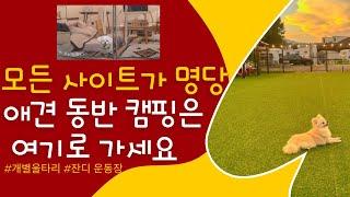 가평애견동반 개별애견펜스 캠핑장추천/반려견과 찐캠핑장 3곳 알려드려요