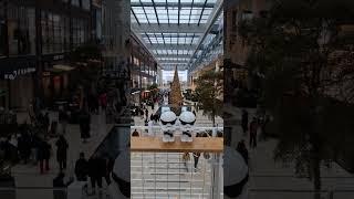 Stormtroopers visit Utrecht to see the Christmas tree in Utrecht Mall