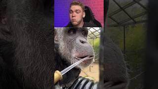 TRY NOT TO LAUGH 152 #shorts #funny #viral