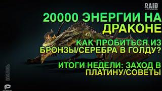 20000 ЭНЕРГИИ НА ДРАКОНЕ. КАК ВЫЙТИ ИЗ БРОНЗЫ И СЕРЕБРА? ИТОГИ ПЛАТИНЫ. Raid Shadow Legends