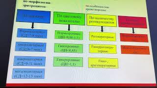 Патология эритрона. Эритроцитозы, Анемии