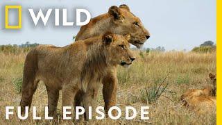 Savage Kingdom: The Ultimate Rebellion (Full Episode) | National Geographic