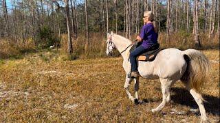 Riding Horses With My Best Friend: A Day To Remember