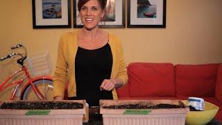 How to Plant Carrots in a Container