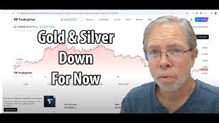 Gold & Silver Dropped! My Take On Why And The Future