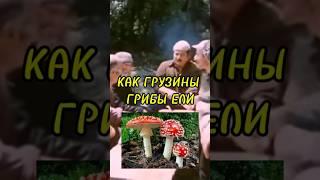 АНЕКДОТ  КАК ГРУЗИНЫ ГРИБЫ ЕЛИ