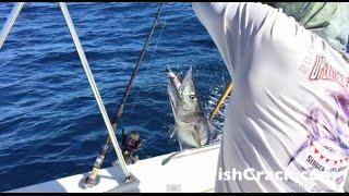 37 Lb Wahoo With "Happy Fish" Fishing Charters In Boynton Beach, FL