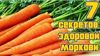 Морковь. Основные секреты выращивания / Семь правил богатого урожая моркиви