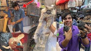 Mamu Ny Gun Khareed Li  Krachi Pet Market Visit Ki 