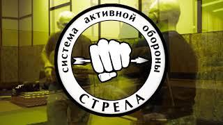 Фрагменты семинара в Рязани.  1 день 1 часть. В.Н.Крючков