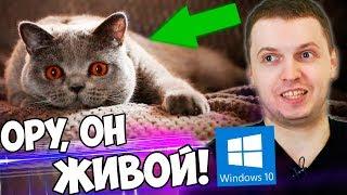 ПАПИЧ УСТАНОВИЛ ЖИВЫЕ ОБОИ ДЛЯ WINDOWS 10 на Рабочий стол!