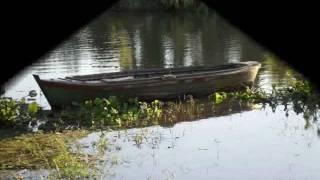 Octavio Osuna y Raul Barboza - Vieja Canoita