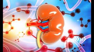 Hypothyroidism in patients with chronic kidney disease, more than just autoantibodies.