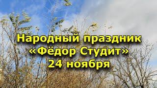 Народный праздник «Фёдор Студит». 24 ноября. Что нужно делать в этот день.