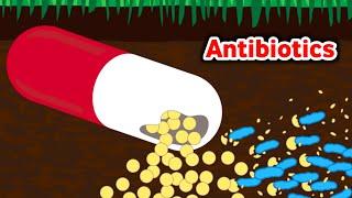 شاهد كيف تعمل المضادات الحيوة داخل اجسامنا(فديو توضيحي)_How do antibiotics work inside the body