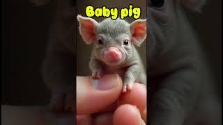 Which Baby Animal You Choose#subscribe #animals