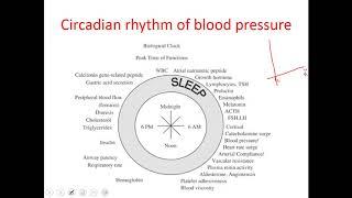 Clinical Pharmacology of anti-hypertensive drugs_Part 3